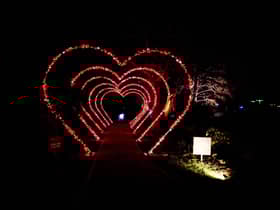 Heart Arch Walk is a star of the show at Christmas at Gibside 2022