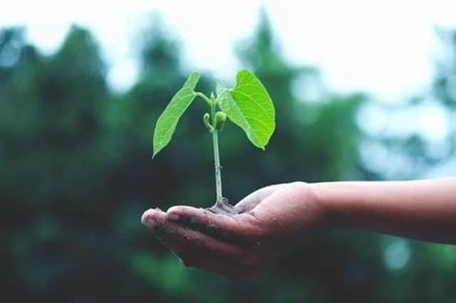 Winter gardening is in your own hands