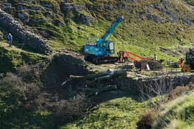 Work begins in the removal of the felled Sycamore Gap tree, on Hadrian's Wall in Northumberland