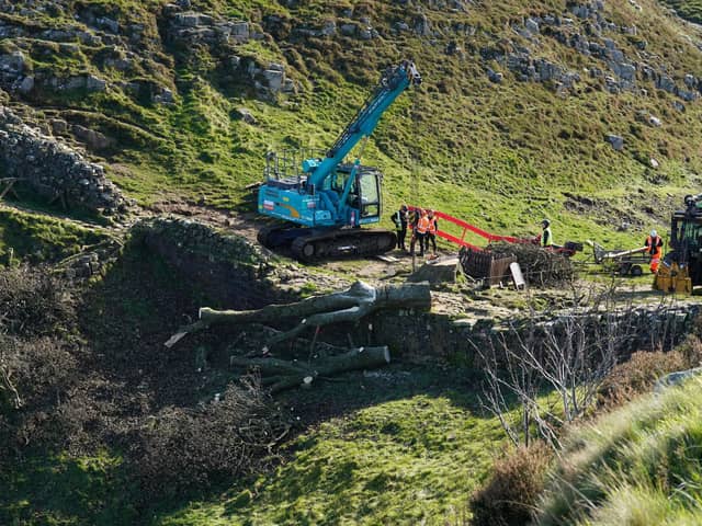 Work begins in the removal of the felled Sycamore Gap tree, on Hadrian's Wall in Northumberland