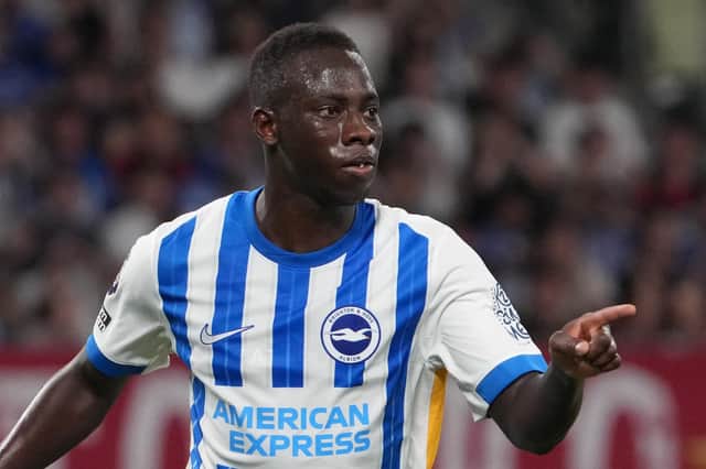 Brighton winger Yankuba Minteh