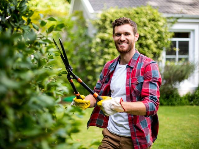 Sixty-three per cent of UK gardeners play music to their plants, research found (photo: Adobe)