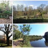 These are the top rated parks in Newcastle according to Google reviews.
