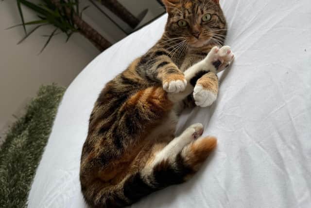 Doja relaxing back at home in Newcastle after her two-month adventure.