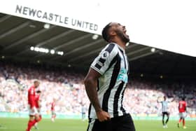 Callum Wilson of Newcastle United celebrates scoring their side's second goal during the Premier League match between Newcastle United and Nottingham Forest at St. James Park on August 06, 2022 in Newcastle upon Tyne, England. (Photo by Jan Kruger/Getty Images)