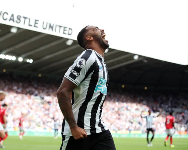 Callum Wilson of Newcastle United celebrates scoring their side's second goal during the Premier League match between Newcastle United and Nottingham Forest at St. James Park on August 06, 2022 in Newcastle upon Tyne, England. (Photo by Jan Kruger/Getty Images)