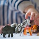 A Newcastle childminder has been given huge praise as part of a new Ofsted inspection. 