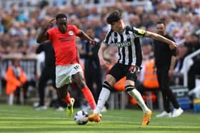 NEWCASTLE UPON TYNE, ENGLAND - MAY 11: Danny Welbeck of Brighton & Hove Albion battles for possession with Tino Livramento of Newcastle United during the Premier League match between Newcastle United and Brighton & Hove Albion at St. James Park on May 11, 2024 in Newcastle upon Tyne, England. (Photo by George Wood/Getty Images)