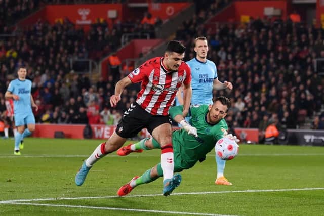 Armando Broja in action for Southampton against Newcastle United  (Photo by Mike Hewitt/Getty Images)
